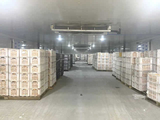 果蔬保鮮冷庫(kù)